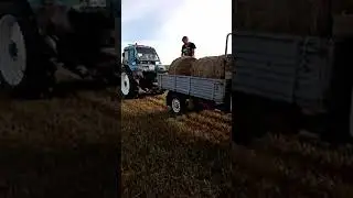 сенокос с родителями