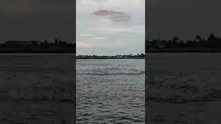 Mullet Pod  Explosion