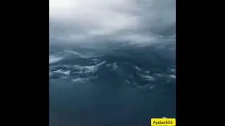 top faktlar