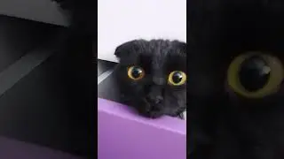 что с ней 😳😳😳😳