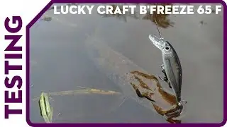 Lucky Craft B'Freeze 65F. Ловля щуки на воблеры на малой речке.