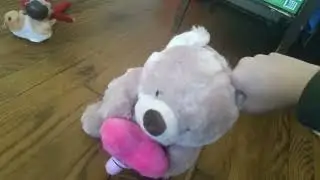 our first video