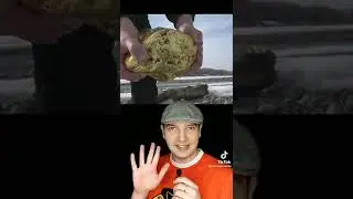 10 рек от Сибири где можно добывать золото