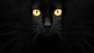 практика анимации ✨ 