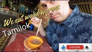 We ate Wood worms, Tamilok in  Palawan