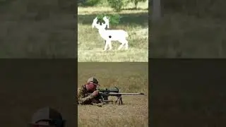 Cold bore shot - 500 yards