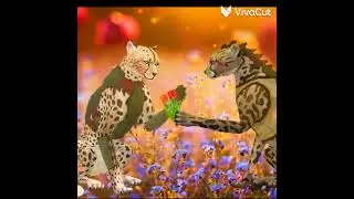 Wcmv "Полюби меня сильнее"