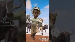 dikaja taranak