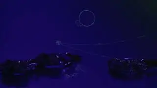Элегантность вне моды и поразительный блеск