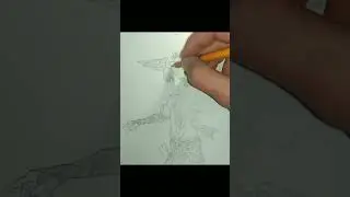 Draw wanderer 