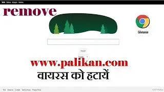 How to remove Palikan virus on your PC and google search web ready to use.