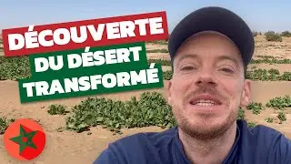 Voyage dans le désert marocain : VLOG de mon 40ème séjour avec Maroc en Conscience
