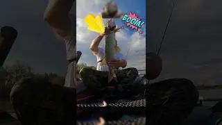 Жми сюда.Часть 2. Щука на волер. как поймать щуку. #fishing #рыбалка #рыбалканащуку
