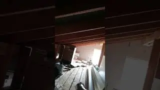 умная 