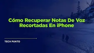 Cómo Recuperar Notas De Voz Recortadas En iPhone