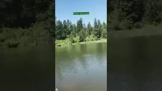 Gone Fishing 🎣