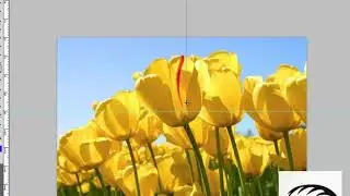 How to Use Rulers & Smart Guides in Photoshop