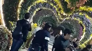 Miracle garden part 15