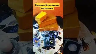 23 ноября 2022 г.