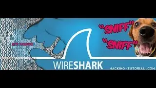 Install Wireshark on Mac OSX new 2018