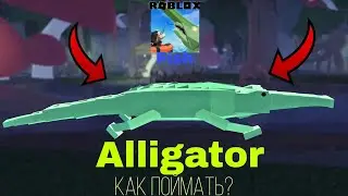 ❗Как поймать крокодила🐊 в Fish🐟 Roblox❗