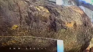 awesome wood || this wood used to be thrown away, now it's a dream