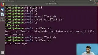 Introduction to loops in shell scripting