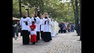 Saint Francis' Day in Stockholm