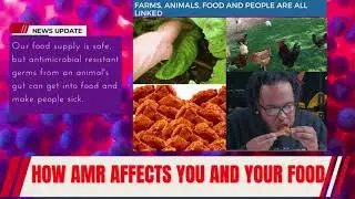 AMR IN FOOD