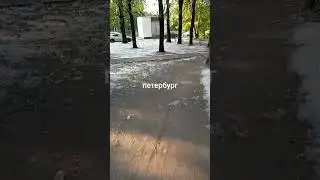 тополиный пух