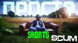 #shorts Просто SCUM   #scum #shortslive