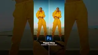 Puppet Warp Adobe Photoshop