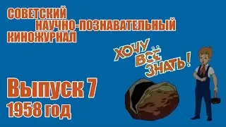 Киножурнал 