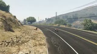 GTA ONLINE Fight with Cheetah