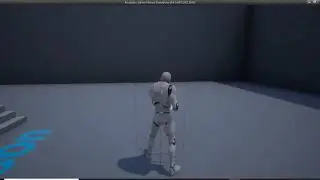 Animation Blueprints UE4