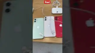 iPhone 12/12 Mini - All Colors