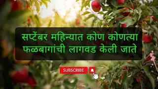 सप्टेंबर महिन्यात कोण कोणत्या फळबागांची लागवड केली जाते #krushikranti