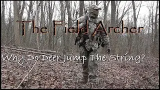 Why Do Deer Jump The String?
