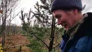 На болото за клюквой
