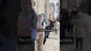 Рейтинг Надеждина - в 4 раза выше, чем у Путина (Google) 