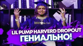 LIL PUMP HARVERD DROPOUT -  ГЕНИАЛЬНО! | МНЕНИЕ НЕ РЭПЕРА #2