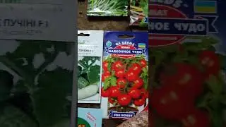 Покупки для Домашнего огорода 