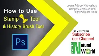How to use clone stamp tool I Adobe Photoshop CS6