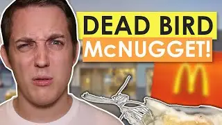 HORRIFYING! Woman Finds DEAD BIRD in Chicken McNugget! 🤢