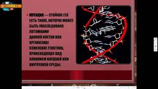 Мутации