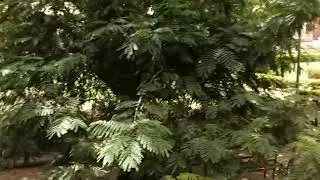 كلية الحاسب بجامعة السودان  الطابق الاول   معملي زين للحاسوب