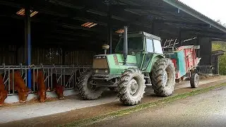 Les vaches limousines à l’Earl des Chaumes !! #2