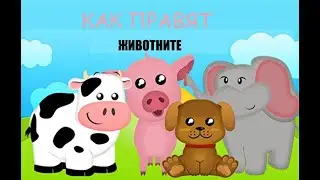 Звуци На Животни / Как Правят Животните