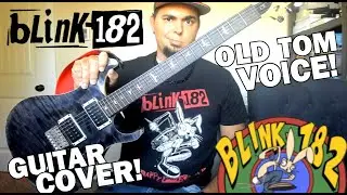 blink-182 - MORE THAN YOU KNOW - Repitched 1999 version! - GUITAR COVER