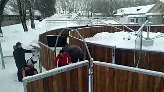 🐎✔Тренажер шагалка для лошади #конныйспорт 🐎🚀